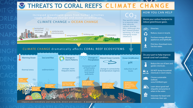 Coral reefs impact by climate change