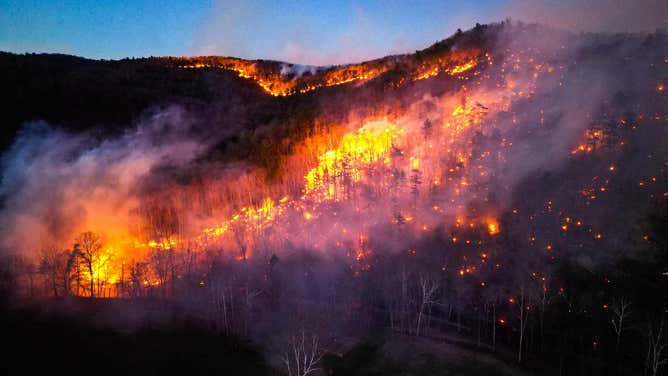 Wildfire burning in Bergton, Virginia on March 19, 2024