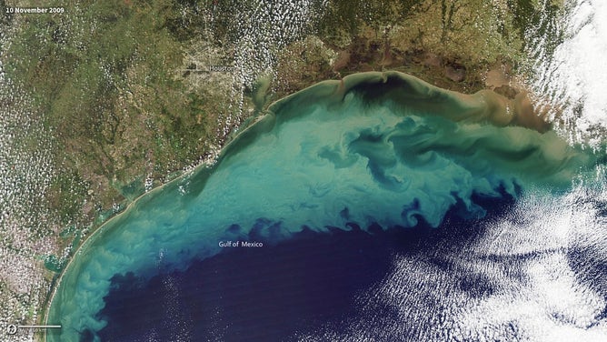 Clouds of sediment colored the Gulf of Mexico on November 10, 2009. Much of the color likely comes from resuspended sediment dredged up from the sea floor in shallow waters.
