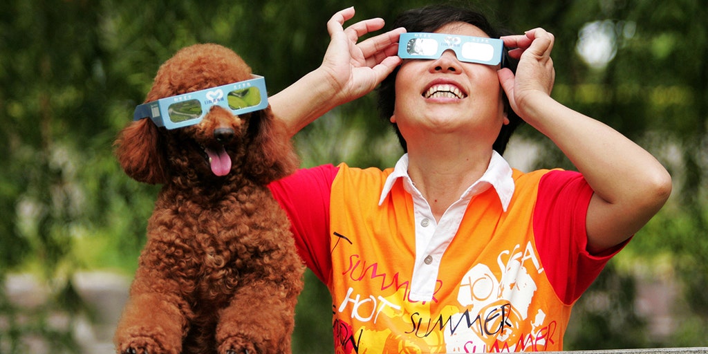 pets-and-the-solar-eclipse-what-to-know-fox-weather