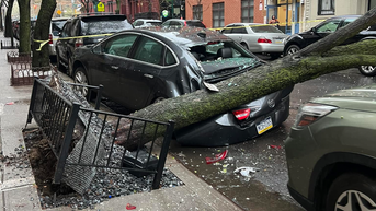 Nor'easter blasts New York, Boston with tropical-storm-force wind gusts as snow buries northern New England