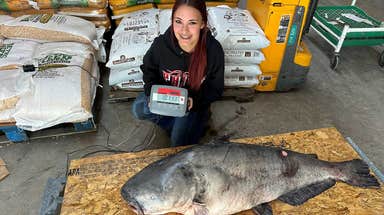 Ohio teen pulls in 'massive' 101-pound blue catfish setting new state record