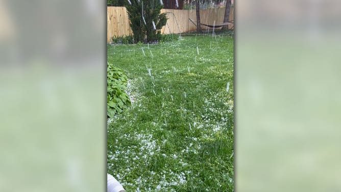 Moth ball-sized hail falls in West Falls Church, Virginia, on April 15, 2024.