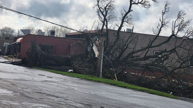Storm damage reported in Bucyrus, Ohio on April 17, 2024
