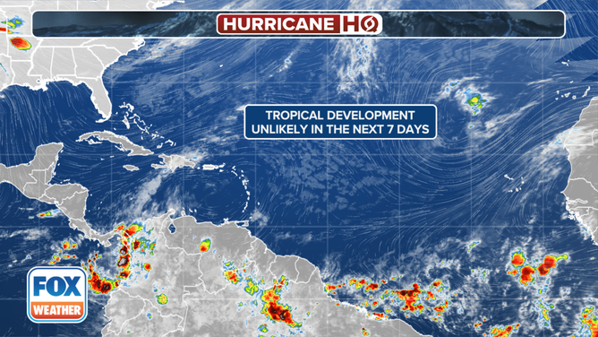 No tropical development is expected over the next 7 days