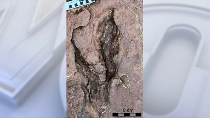 The footprints were discovered in southeastern China. (Credit: Dr. Scott Persons)