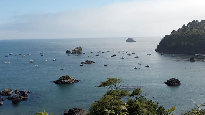 Scenic view of Pacific Ocean, Trinidad, California