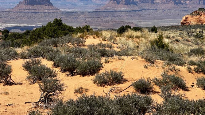 The landscape of Canyonlands National Park in Moab, Utah, is seen in April 2024.