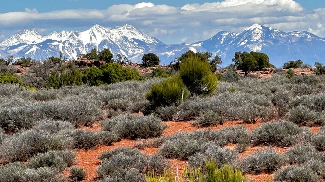 The landscape of Canyonlands National Park in Moab, Utah, is seen in April 2024.