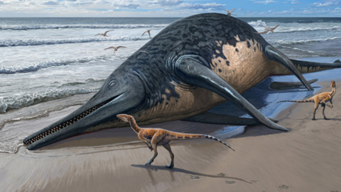 An artist rendering of a washed-up Ichthyotitan severnensis carcass on the beach.