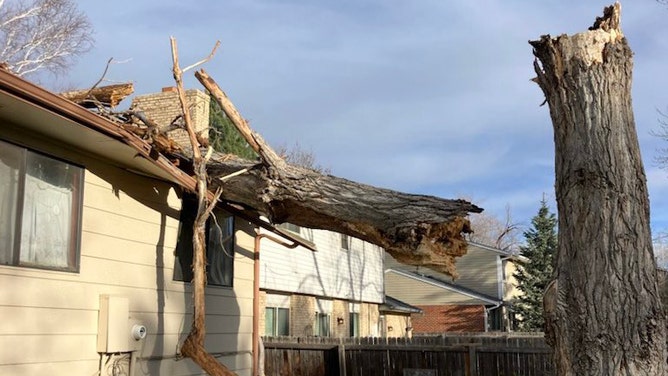 South Metro Fire Rescue in Centennial, Colorado, responded to an incident in which a tree fell through the roof of a home Saturday evening, April 6, 2024, in Littleton, Colorado, due to strong wind gusts in the region.
