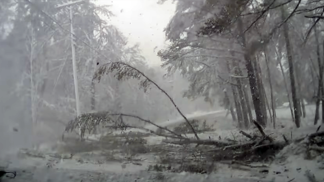 Dashcam footage captured the dramatic moment a police officer narrowly avoided being struck by a falling tree, as heavy snow swept across Maine.