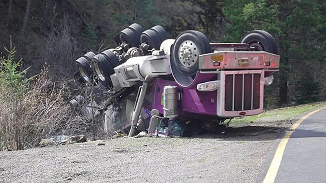 A truck carrying more than 100,000 salmon smolts overturned in Oregon, and, miraculously, most of them managed to survive.