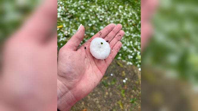 Large hail in Rock Hill, South Carolina during a severe thunderstorm on 4/20/2024