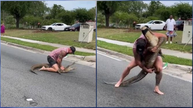 A Florida man took on a large alligator that was disturbing the peace in a downtown Jacksonville neighborhood over the weekend.