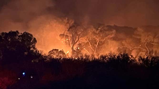 Arizona’s Department of Forestry and Fire Management said the Bowers Fire began on Monday evening and is burning primarily in Babocomari River bed.