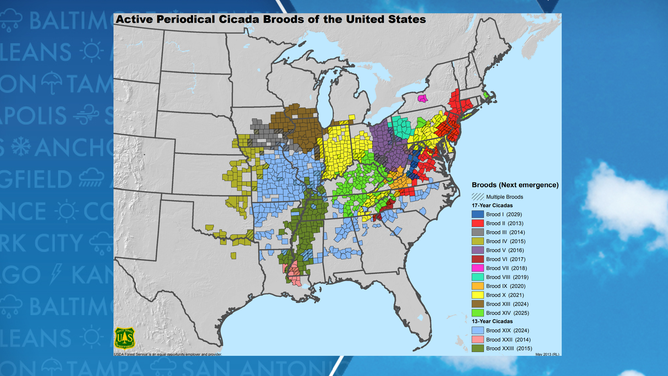US Forest Service Cicada map