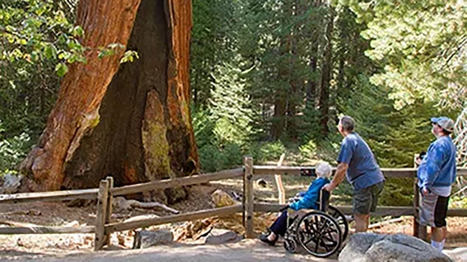 No reservation is required to enter Sequoia and Kings Canyon National Parks.