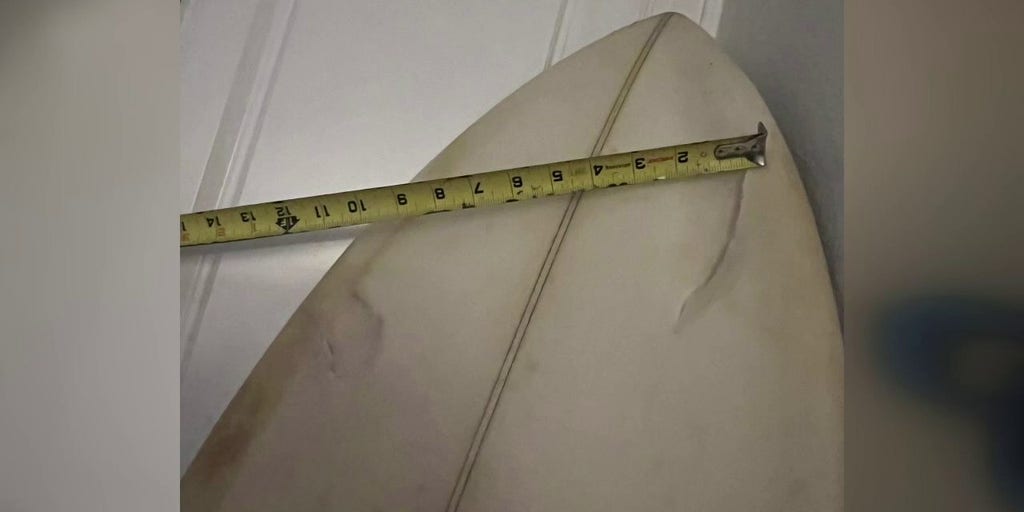 Surfer survives shark attack in Southern California over Memorial Day