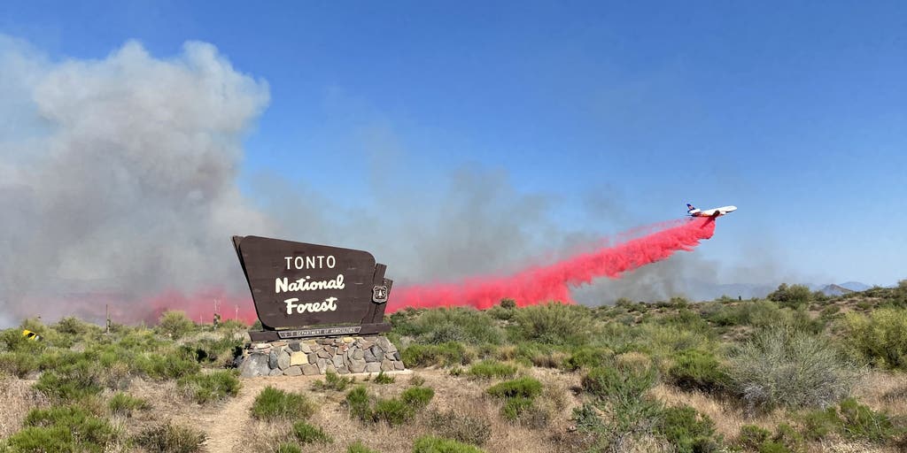 Wildcat Fire in Arizona's Tonto National Forest Grows to 14,000 Acres ...