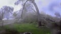 Watch: Michigan tornado flattens 'every single tree on property' in 45 seconds
