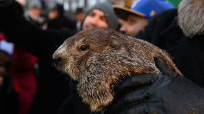 Punxsutawney Phil’s pups given weather-inspired names