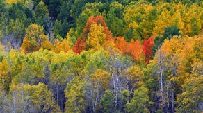 How a GOES satellite will lead to a new generation of leaf peeping