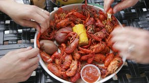 Louisiana crawfish harvest down as much as 90% in shortage that could cripple industry for years