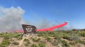 Wildcat Fire in Arizona's Tonto National Forest grows to 14K acres