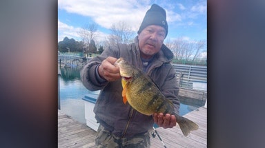 Lake Michigan fisherman's jumbo perch breaks Indiana's 43-year-old state record
