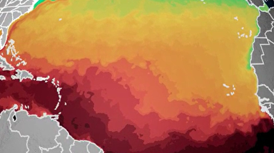 Atlantic Ocean’s record warmth finally breaks as Saharan dust settles in over basin