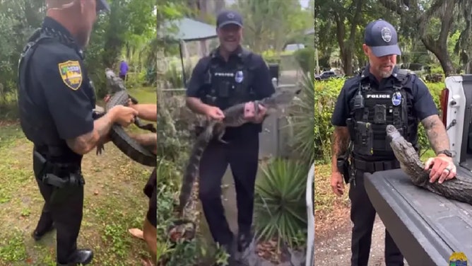 Officers with the Jacksonville Sheriffs Office removed an alligator from a 104-year-old womans home.