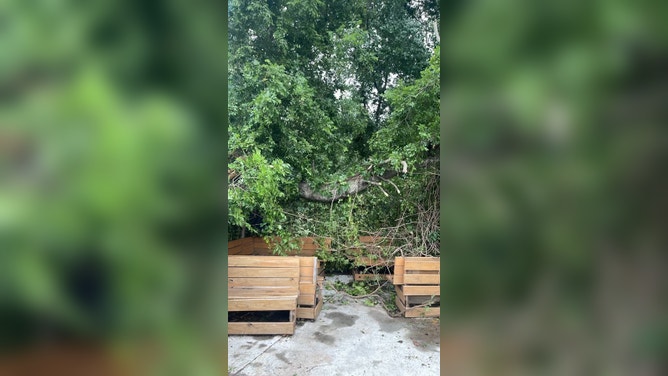 Houston restaurant damage