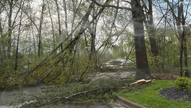 Significant Damage Reported In Michigan Amid Severe Storms, Tornadoes ...