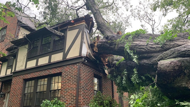 Officials responded to a large tree that had fallen onto a residential structure during severe weather in Mountain Brook, Alabama, early Monday, May 27, 2024.