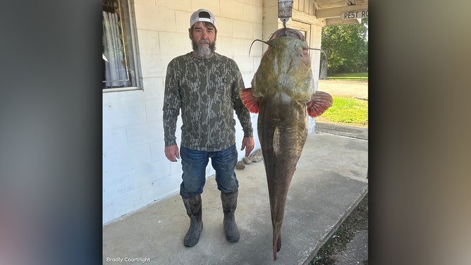 Bradly Courtright landed an impressive 95-pound flathead catfish at Pine Creek Reservoir near Valliant, Oklahoma.