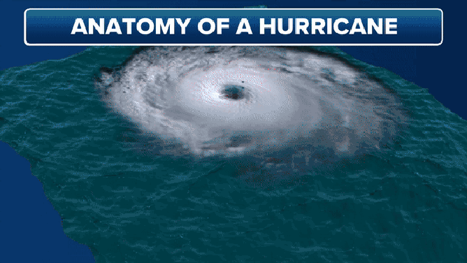 An animation showing the anatomy of a hurricane.
