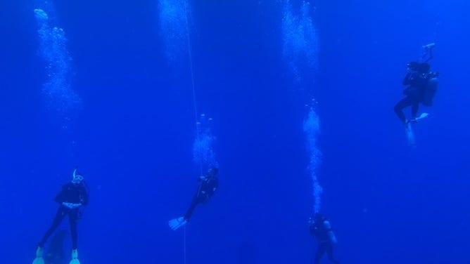 Scientists scuba dive in ocean waters off the coast of Kailua-Kona, Hawaii. University of Oregon researchers Kelly Sutherland and Alejandro Damian-Serrano are amongst the divers searching for salp colonies.