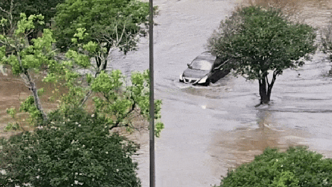 Driver gets stranded after going into flooded creek