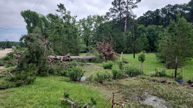 Trinity, Texas tornado damage