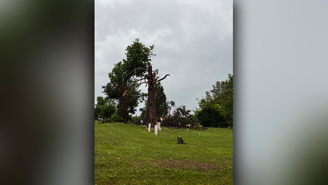 Large trees were uprooted in the vicinity of Russellville Intermediate School in Tennessee, causing roof damage to homes and the school itself, possibly due to a tornado.