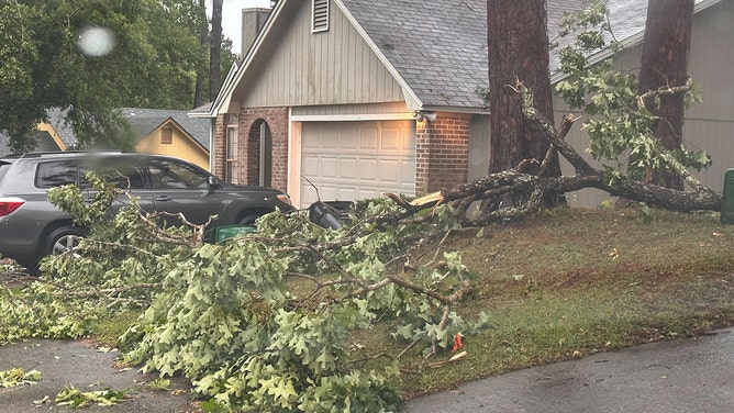 Fallen trees and limbs have been reported in the Timberlake neighborhood off Apalachee Parkway in Tallahassee, Florida, on Friday morning.