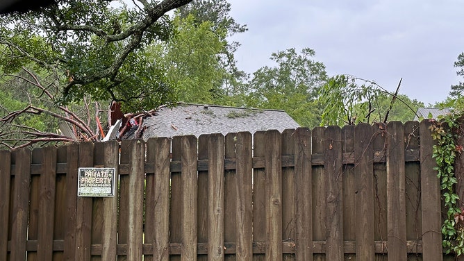 Fallen trees and limbs have been reported in the Timberlake neighborhood off Apalachee Parkway in Tallahassee, Florida, on Friday morning.