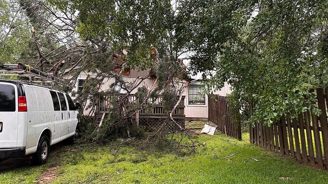 Fallen trees and limbs have been reported in the Timberlake neighborhood off Apalachee Parkway in Tallahassee, Florida, on Friday morning.