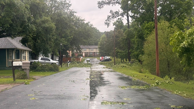 Fallen trees and limbs have been reported in the Timberlake neighborhood off Apalachee Parkway in Tallahassee, Florida, on Friday morning.