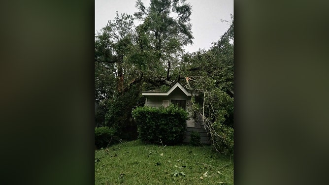 A squall line swept across the Florida Panhandle early Friday morning, triggering a variety of severe weather warnings. Storm damage is seen in Tallahassee.