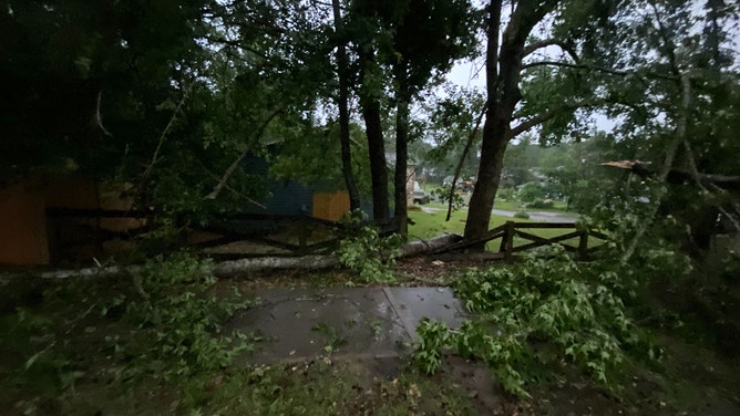 A squall line swept across the Florida Panhandle early Friday morning, triggering a variety of severe weather warnings. Storm damage is seen in Tallahassee.