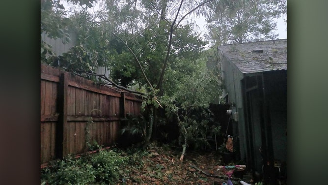 A squall line swept across the Florida Panhandle early Friday morning, triggering a variety of severe weather warnings. Storm damage is seen in Tallahassee.