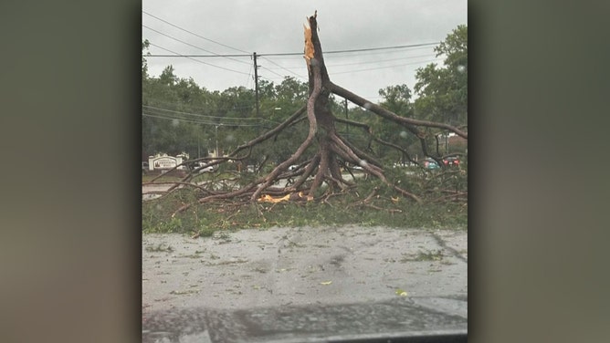 A squall line swept across the Florida Panhandle early Friday morning, triggering a variety of severe weather warnings. Storm damage is seen in Tallahassee.