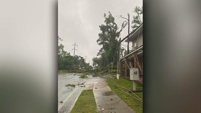 A squall line swept across the Florida Panhandle early Friday morning, triggering a variety of severe weather warnings. Storm damage is seen in Tallahassee.